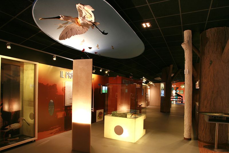 Sezione Naturalistica (foto S. Stignani)